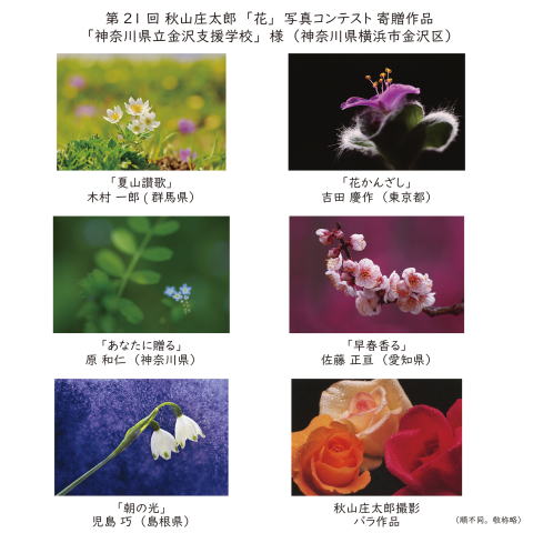 秋山庄太郎の写真手帖